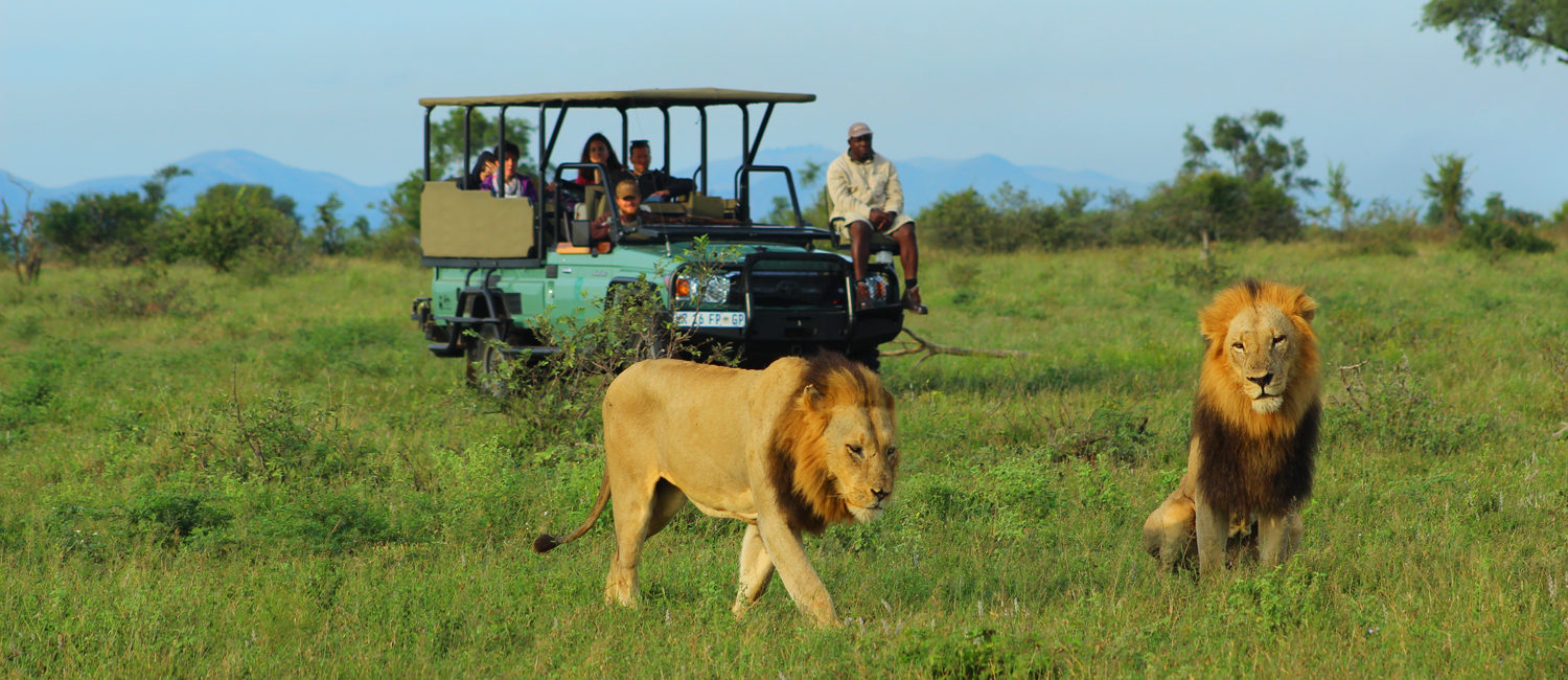 4x4 Safari Vehicle on a game drive in Serengeti